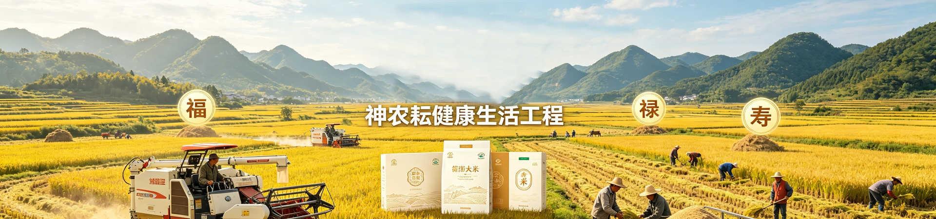 6大优势底部电话信息