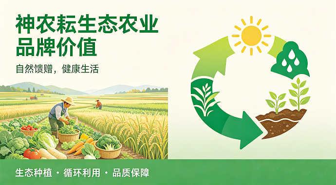 品牌优势显著