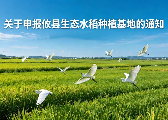 关于申报攸县生态水稻种植基地的通知